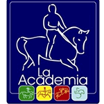 Cliente Provic La Academia